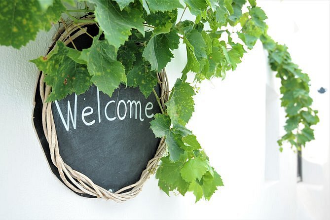 Private and Semi-Private Tours in Santorini Island. Wine Tasting, Food Pairing and Sightseeing Tours.